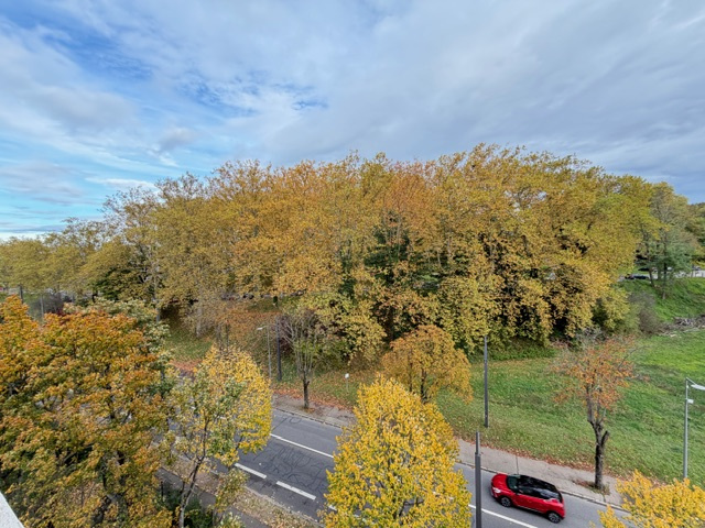 CALUIRE / RUE PASTEUR