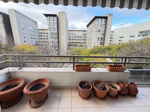 PALAIS DE JUSTICE / HALLES DE LYON - Image 2